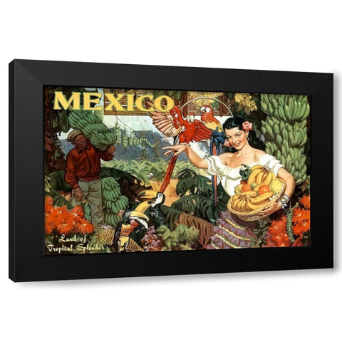 Mexico, Land of Tropical Splendor Black Modern Wood Framed Art Print with Double Matting by Cornwell, Dean
