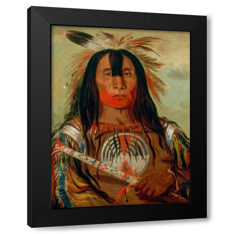 Buffalo Bulls Back Fat Black Modern Wood Framed Art Print by Catlin, George