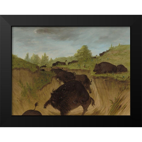Grizzly Bears Attacking Buffalo Black Modern Wood Framed Art Print by Catlin, George