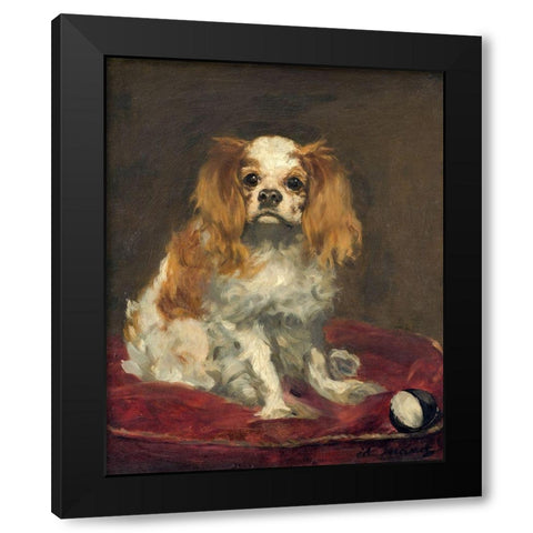 A King Charles Spaniel Black Modern Wood Framed Art Print with Double Matting by Manet, Edouard