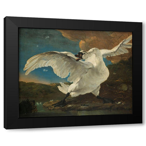 The Threatened Swan Black Modern Wood Framed Art Print with Double Matting by Asselijn, Jan