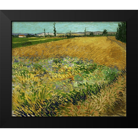 Wheatfield Black Modern Wood Framed Art Print by van Gogh, Vincent