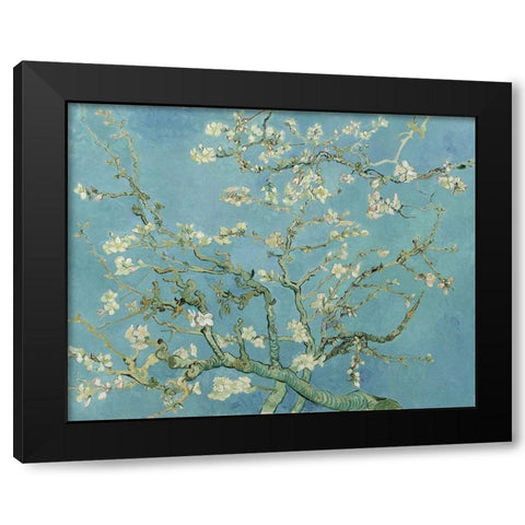 Almond blossom Black Modern Wood Framed Art Print with Double Matting by van Gogh, Vincent