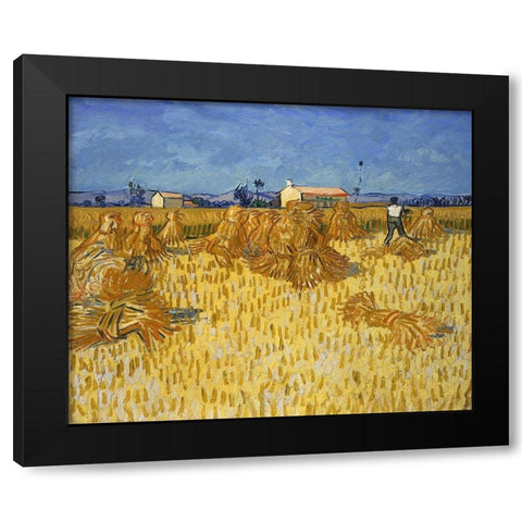 Corn Harvest in Provence Black Modern Wood Framed Art Print with Double Matting by van Gogh, Vincent