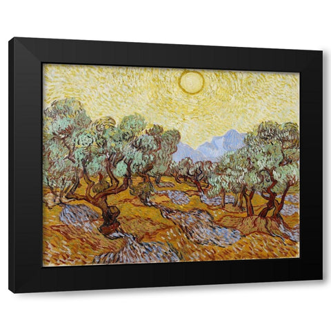 Olive Trees with yellow sky and sun Black Modern Wood Framed Art Print with Double Matting by van Gogh, Vincent