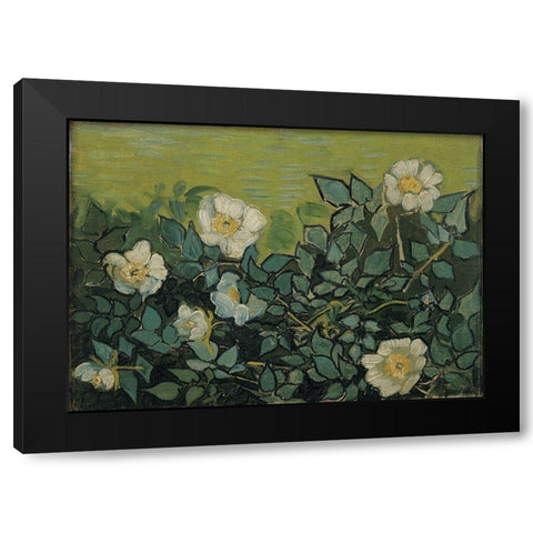 Wild roses Black Modern Wood Framed Art Print with Double Matting by van Gogh, Vincent