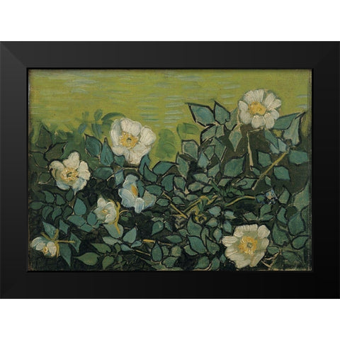 Wild roses Black Modern Wood Framed Art Print by van Gogh, Vincent