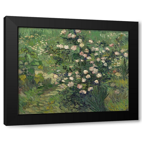 Roses Black Modern Wood Framed Art Print with Double Matting by van Gogh, Vincent