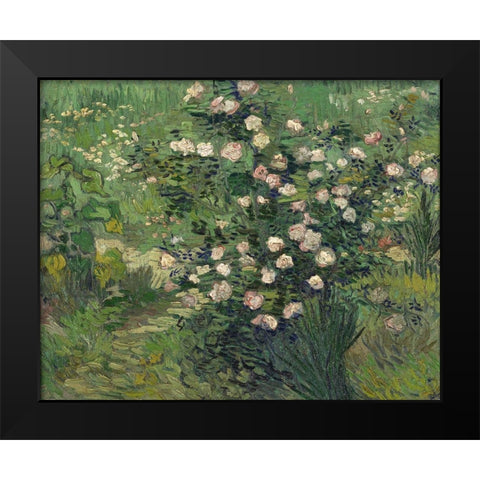 Roses Black Modern Wood Framed Art Print by van Gogh, Vincent