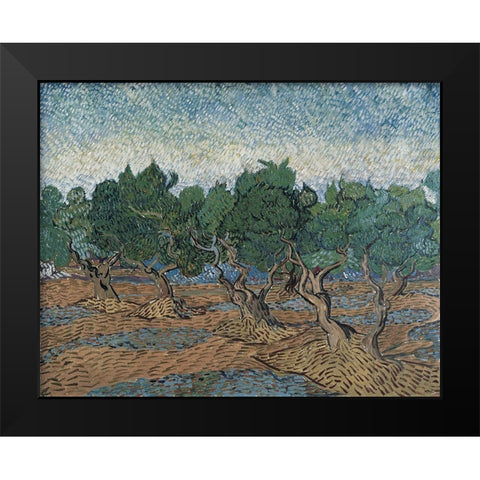 Olive grove Black Modern Wood Framed Art Print by van Gogh, Vincent