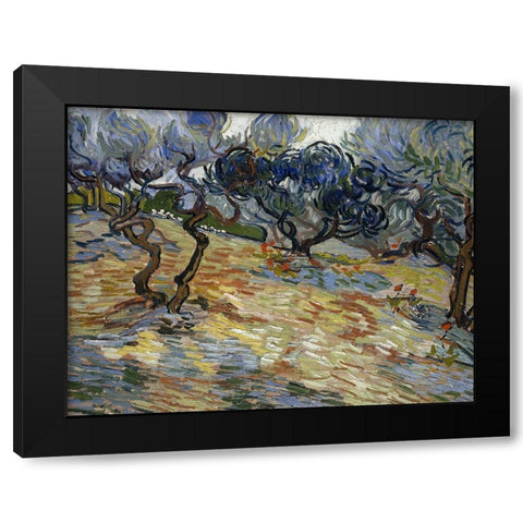 Olive Trees, Bright blue sky Black Modern Wood Framed Art Print by van Gogh, Vincent