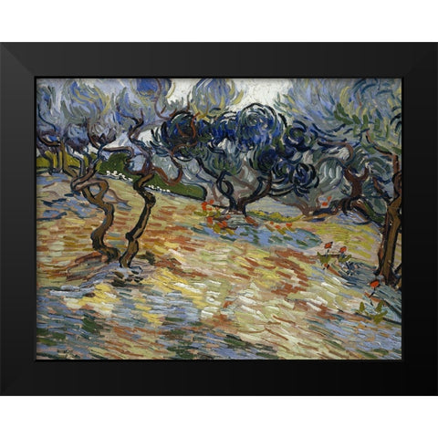 Olive Trees, Bright blue sky Black Modern Wood Framed Art Print by van Gogh, Vincent