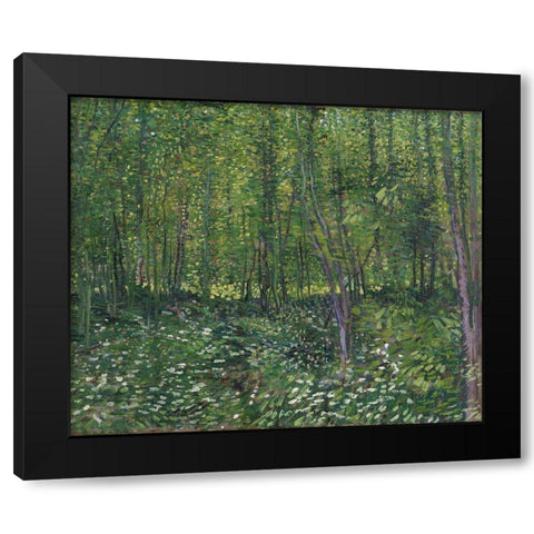 Trees and undergrowth Black Modern Wood Framed Art Print by van Gogh, Vincent