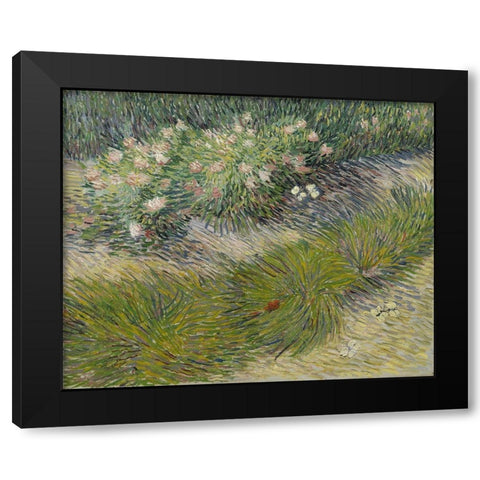 Grass and Butterflies Black Modern Wood Framed Art Print with Double Matting by van Gogh, Vincent
