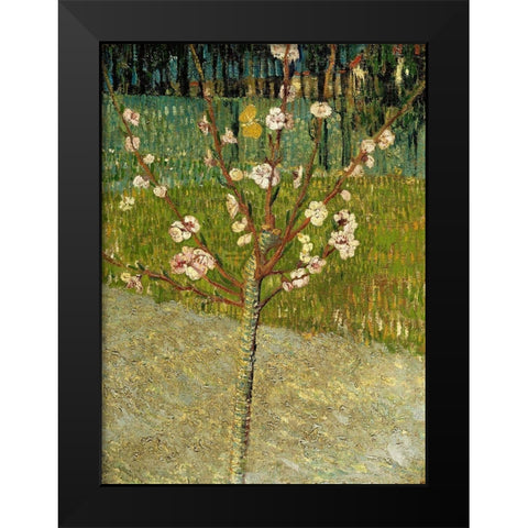 Almond tree in blossom Black Modern Wood Framed Art Print by van Gogh, Vincent