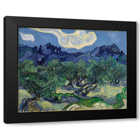 The Olive Trees Black Modern Wood Framed Art Print with Double Matting by van Gogh, Vincent