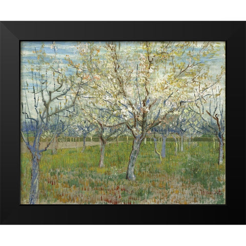 Orchard with Blooming Apricot Trees Black Modern Wood Framed Art Print by van Gogh, Vincent