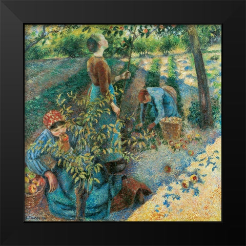 Apple Picking Black Modern Wood Framed Art Print by Pissarro, Camille