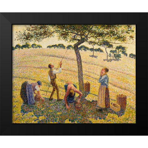 Apple harvest at Eragny Black Modern Wood Framed Art Print by Pissarro, Camille