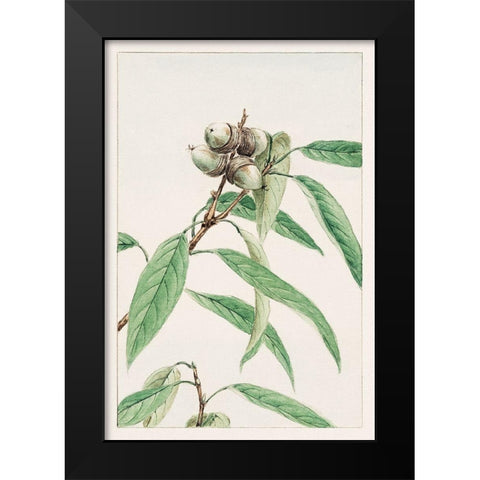 Kashi Black Modern Wood Framed Art Print by Morikaga, Megata