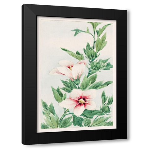 Hibiscus plant Black Modern Wood Framed Art Print with Double Matting by Morikaga, Megata