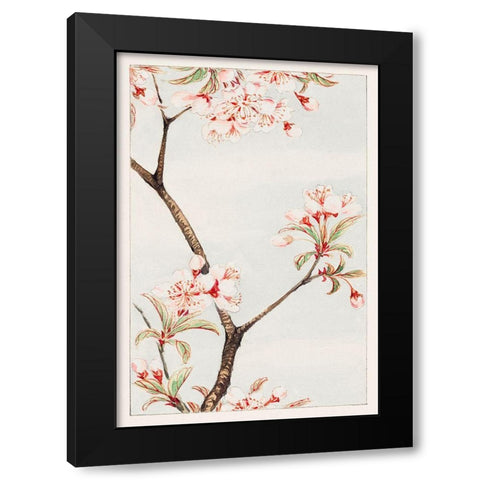 Sakura cherry Black Modern Wood Framed Art Print with Double Matting by Morikaga, Megata
