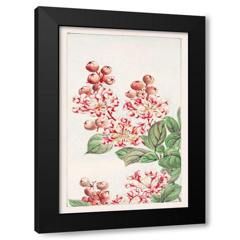 Sarusubi blossoms Black Modern Wood Framed Art Print with Double Matting by Morikaga, Megata