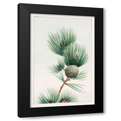 Gayo matsu pine Black Modern Wood Framed Art Print by Morikaga, Megata