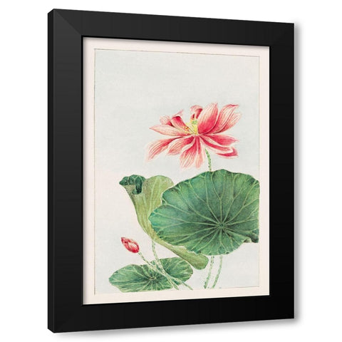 Hasu or lotus Black Modern Wood Framed Art Print by Morikaga, Megata