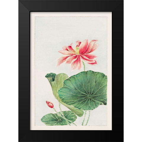 Hasu or lotus Black Modern Wood Framed Art Print by Morikaga, Megata