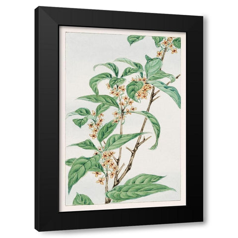 Stem with leaves and small flowers Black Modern Wood Framed Art Print with Double Matting by Morikaga, Megata