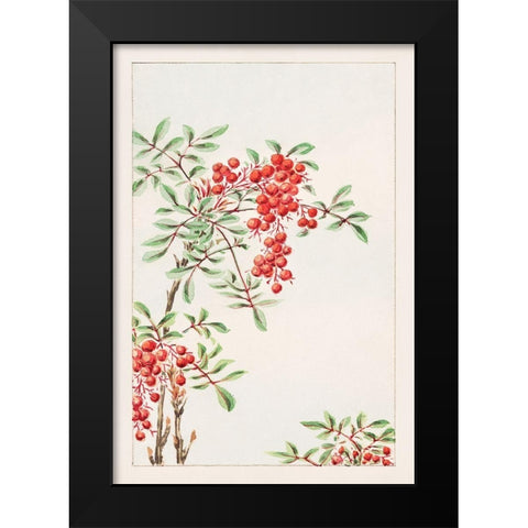 Nandina bush with berries Black Modern Wood Framed Art Print by Morikaga, Megata