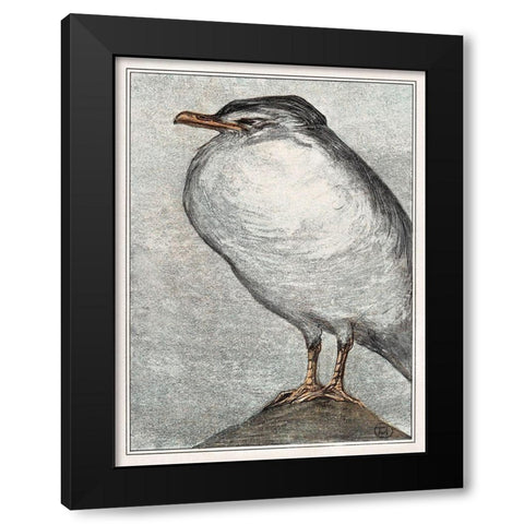 Herring Gull Black Modern Wood Framed Art Print by Hoytema, Theo van