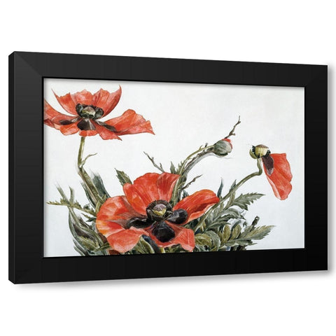Red Poppies Black Modern Wood Framed Art Print by Demuth, Charles