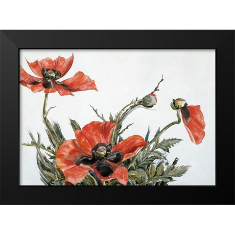 Red Poppies Black Modern Wood Framed Art Print by Demuth, Charles