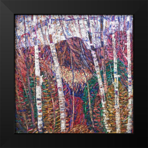 White Birches Black Modern Wood Framed Art Print by Hartley, Marsden