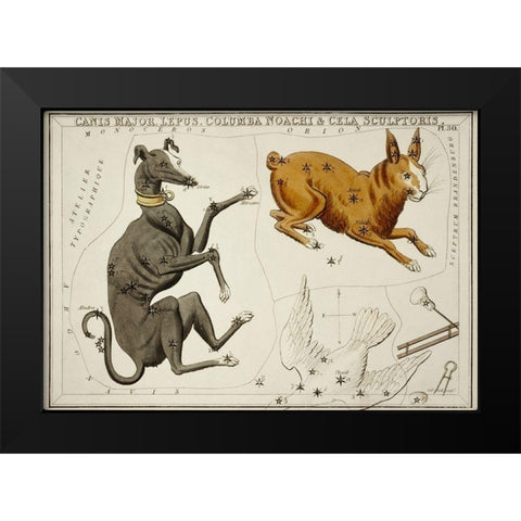 Astronomical chart illustration of the Canis Major-Lepus-Columba Noachi and the Cela Sculptoris Black Modern Wood Framed Art Print by Hall, Sidney