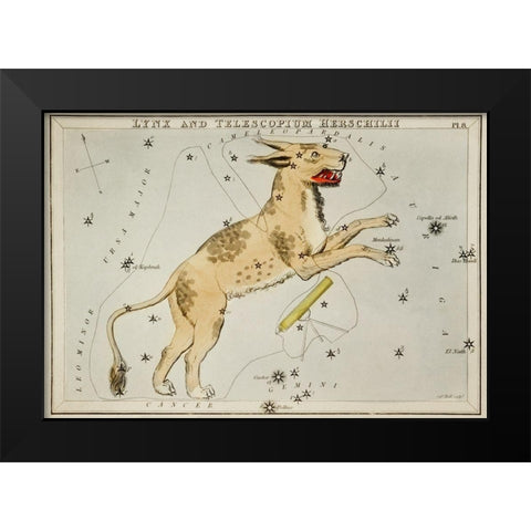 Astronomical chart illustration of Lynx and the Telescopium Herschilii Black Modern Wood Framed Art Print by Hall, Sidney