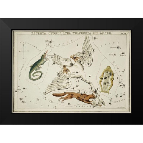 Astronomical chart illustration of the Lacerta-Cygnus-Lyra-Vulpecula and the Anser Black Modern Wood Framed Art Print by Hall, Sidney