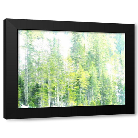 Growth Black Modern Wood Framed Art Print by Ghanooni, Sarah