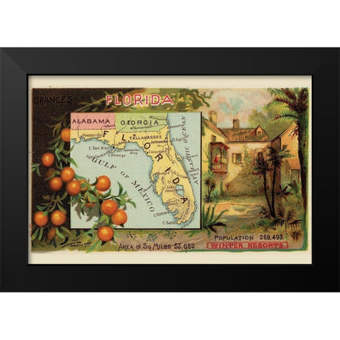 Florida Black Modern Wood Framed Art Print by Arbuckle Brothers