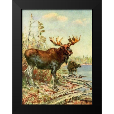 Moose Black Modern Wood Framed Art Print by Rungius, Carl