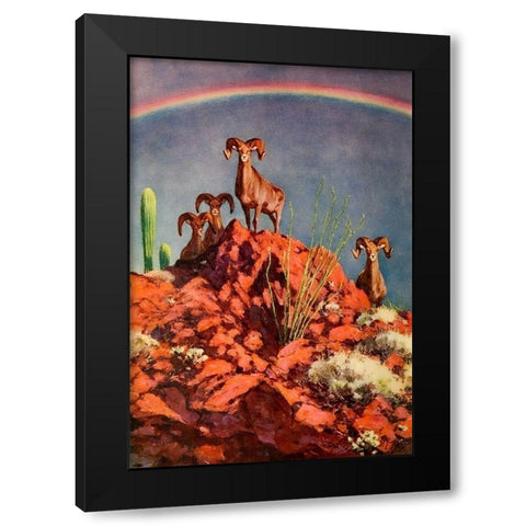 Bighorn Sheep on Rocks Black Modern Wood Framed Art Print by Rungius, Carl