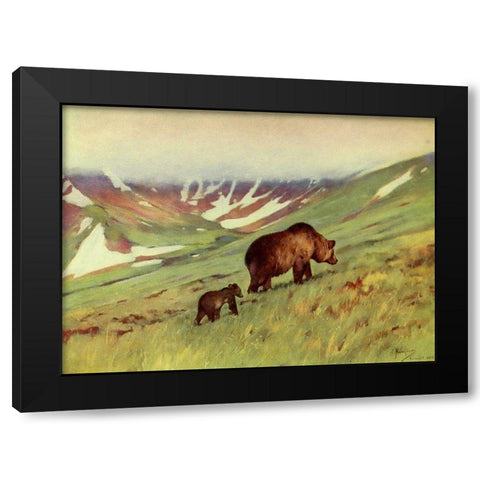 Bears walking in Basin Black Modern Wood Framed Art Print by Rungius, Carl