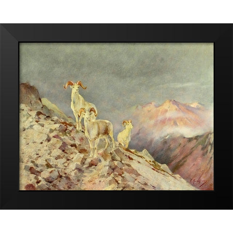 Rams Black Modern Wood Framed Art Print by Rungius, Carl