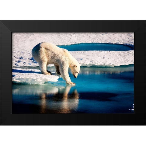 Polar Bear Black Modern Wood Framed Art Print by NASA