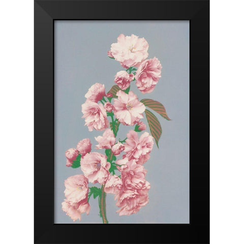 Cherry Blossom Black Modern Wood Framed Art Print by Kazumasa, Ogawa