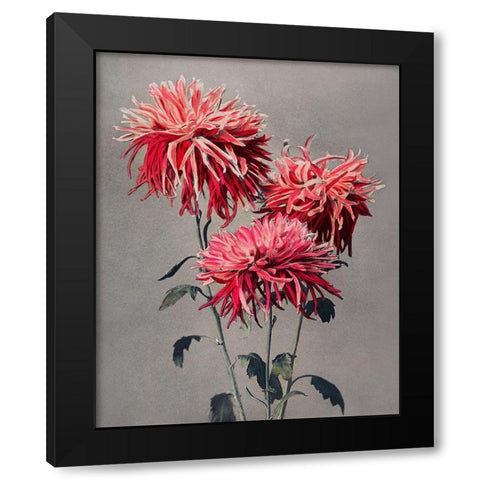 Asa dsuma bune Black Modern Wood Framed Art Print with Double Matting by Kazumasa, Ogawa