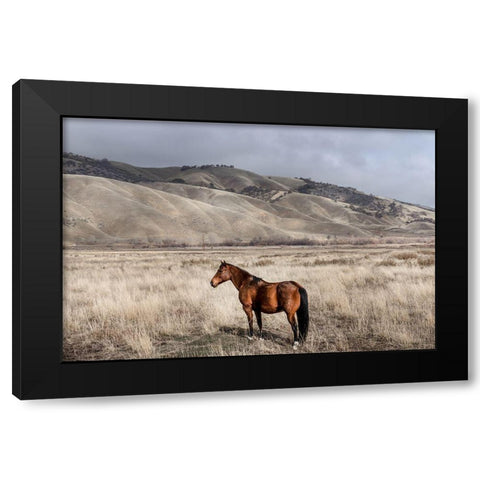 Interstate 5 near Californias Fort Tejon State Park Black Modern Wood Framed Art Print by Highsmith, Carol