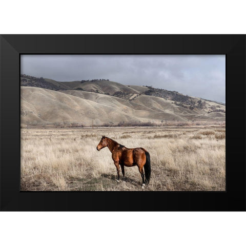 Interstate 5 near Californias Fort Tejon State Park Black Modern Wood Framed Art Print by Highsmith, Carol